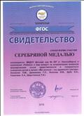 Свидетельство Территория ФГОС, Серебряная медаль Свидетельство Территория ФГОС, Серебряная медаль