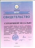 Свидетельство Всероссийский конкурс территория ФГОС, Серебряная медаль Свидетельство Всероссийский конкурс территория ФГОС, Серебряная медаль