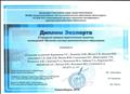 Диплом Эксперта 2 Городской ярмарки педагогических проектов, посвященной 100-летию системы дополнительного образования Диплом Эксперта 2 Городской ярмарки педагогических проектов, посвященной 100-летию системы дополнительного образования